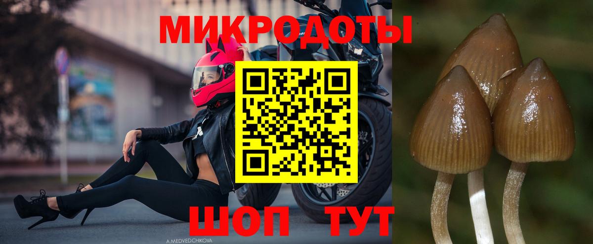 Псилоцибиновые грибы Magic Shrooms  Псилоцибиновые грибы MAGIC MUSHROOMS  Вход с VPN  Каменск-Уральский 